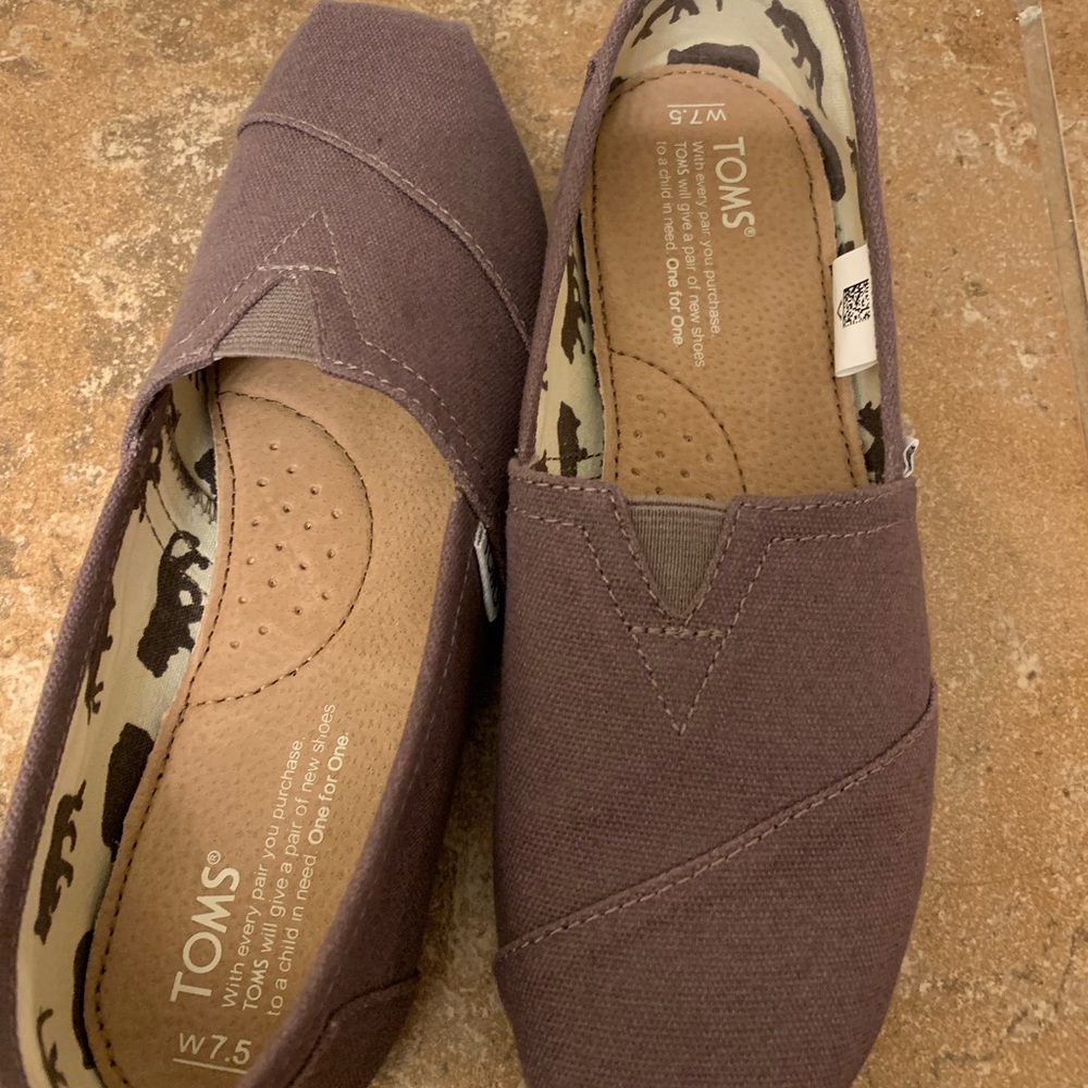 TOMS